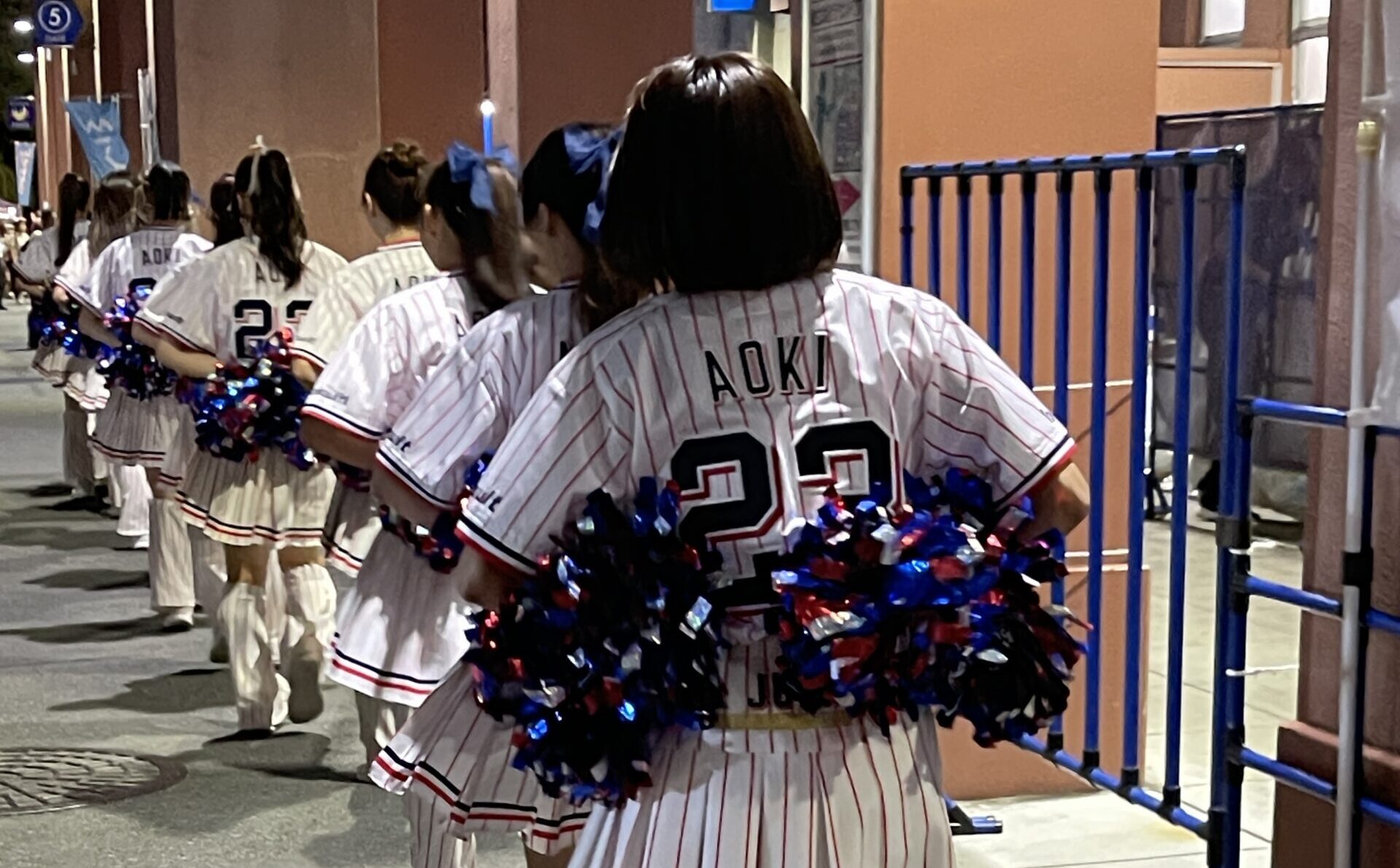 ヤクルトスワローズのカラー完全ガイド｜初心者でもわかる色選びと観戦 